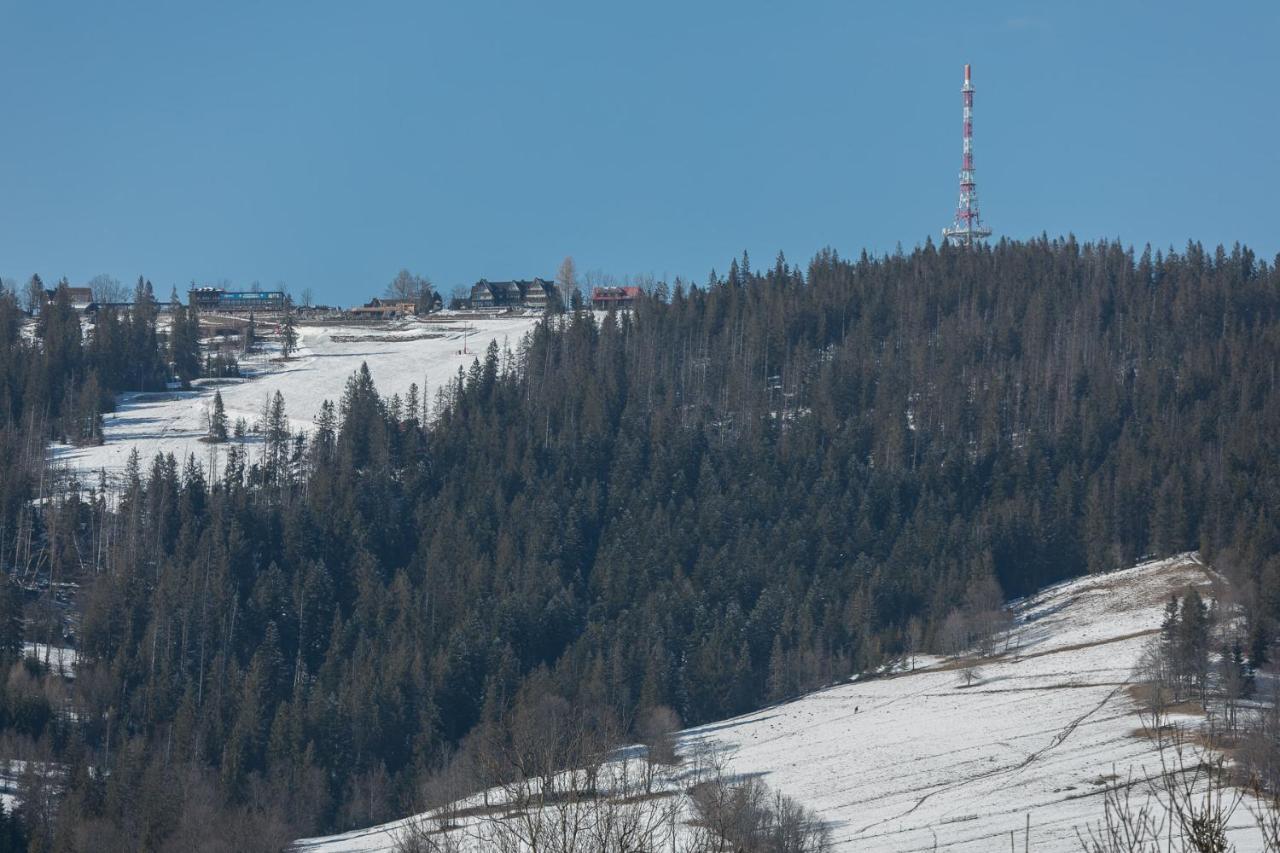 Rent Like Home - Orkana IX Zakopane Esterno foto